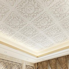 Art3Dwallpanels 12 Pack Drop Ceiling Tiles 24 X 24 Inch High Grade Pvc 3D Wall
