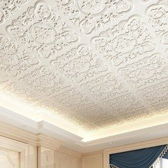 Art3Dwallpanels 12 Pack Drop Ceiling Tiles 24 X 24 Inch High Grade Pvc 3D Wall