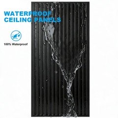 12PCS Ceiling Panel 2×4 Feet, PVC Decorative Ceiling Covering Panel,Black